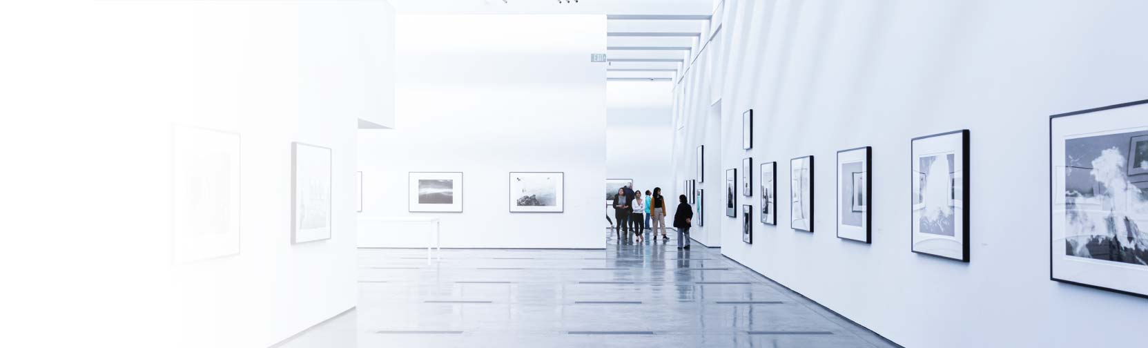 Fine Art Services for Galleries